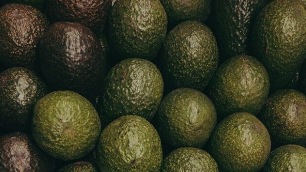 La soberanía del aguacate