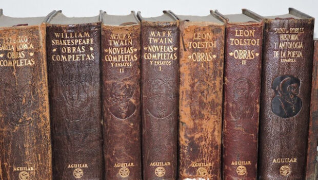 La memoria de la especie