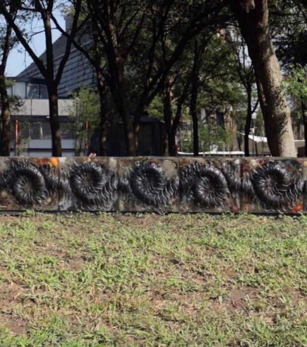 Estas ruinas que ves