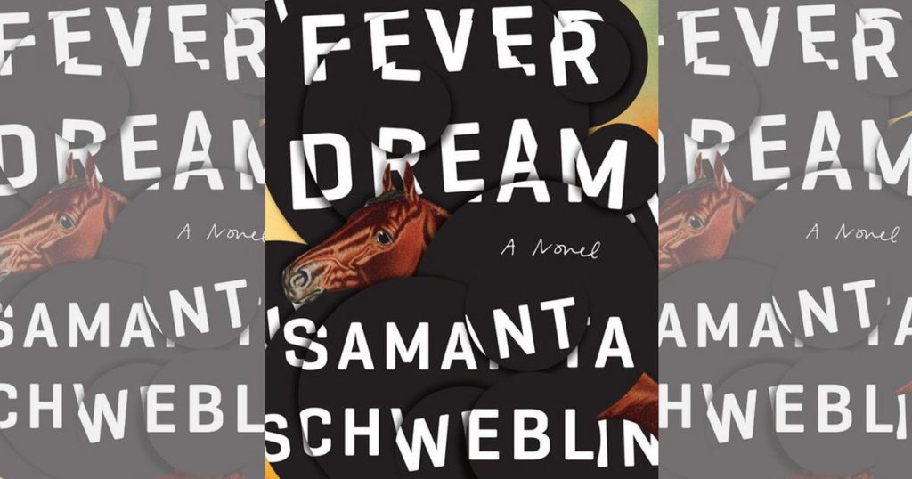 fever dream schweblin novel