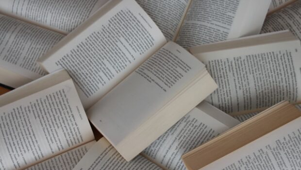 LOS MEJORES LIBROS DEL 2025