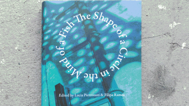 The Shape of a Circle in the Mind of a Fish